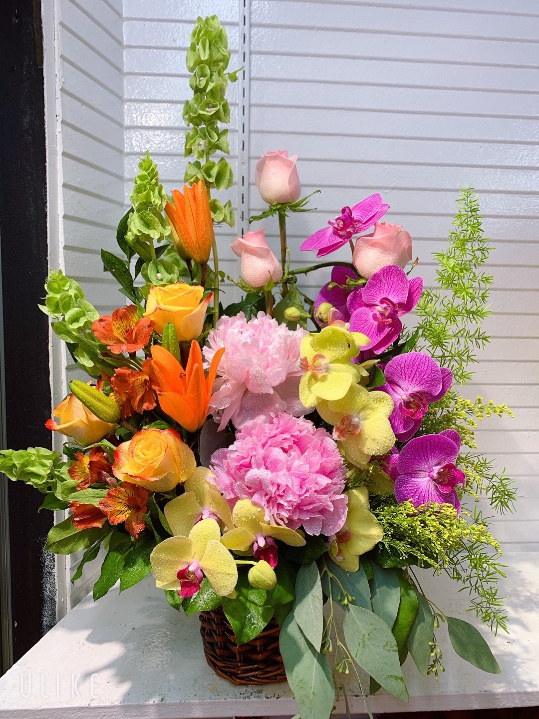 All Occasion Arrangement #10 - Kimanh Flowers